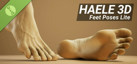 HAELE 3D - Feet Poser Lite Demo Header Image