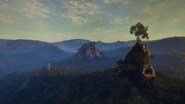 Full Size Image