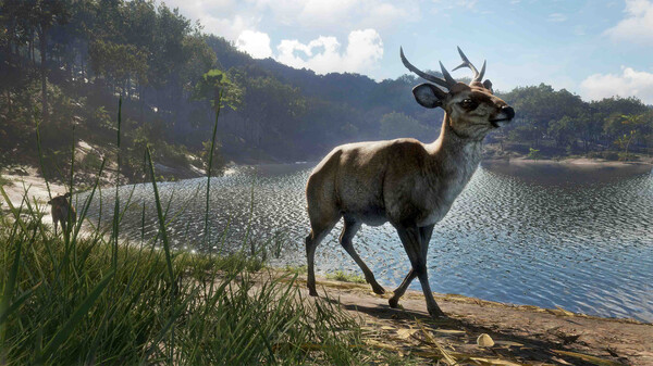 theHunter: Call of the Wild™ - Emerald Coast Australia — скриншот 11