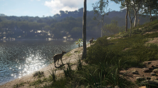 screenshot5
