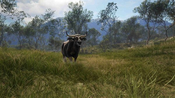 screenshot7