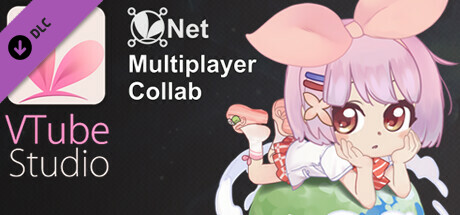 VTube Studio - VNet Multiplayer Collab banner image