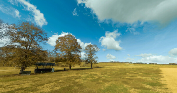 RealFlight Evolution - Triple Tree Electric Flightline