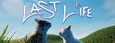 Last Life cover