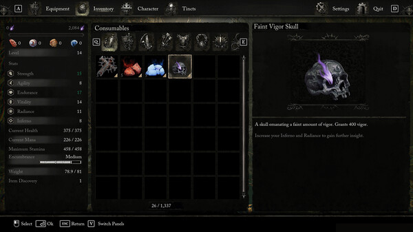 Lords of the Fallen - Starting Boost