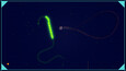 Screenshot #1