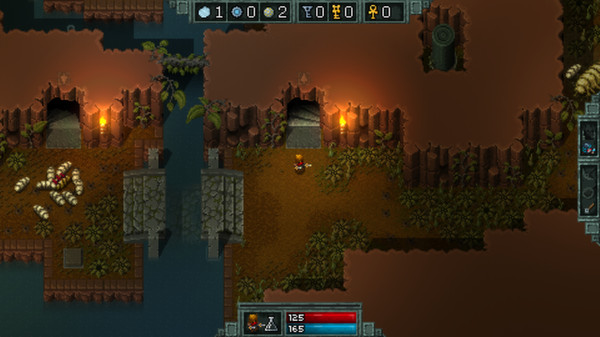 Hammerwatch screenshot 3