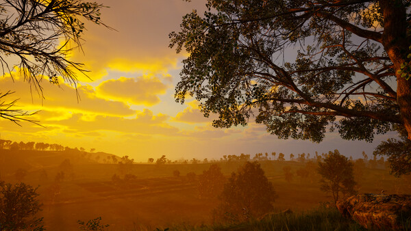 Island Paradise screenshot 2