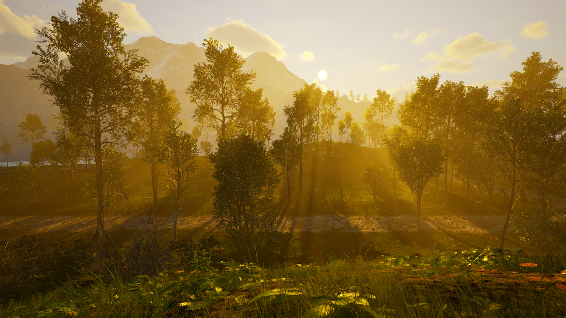 Island Paradise screenshot 15