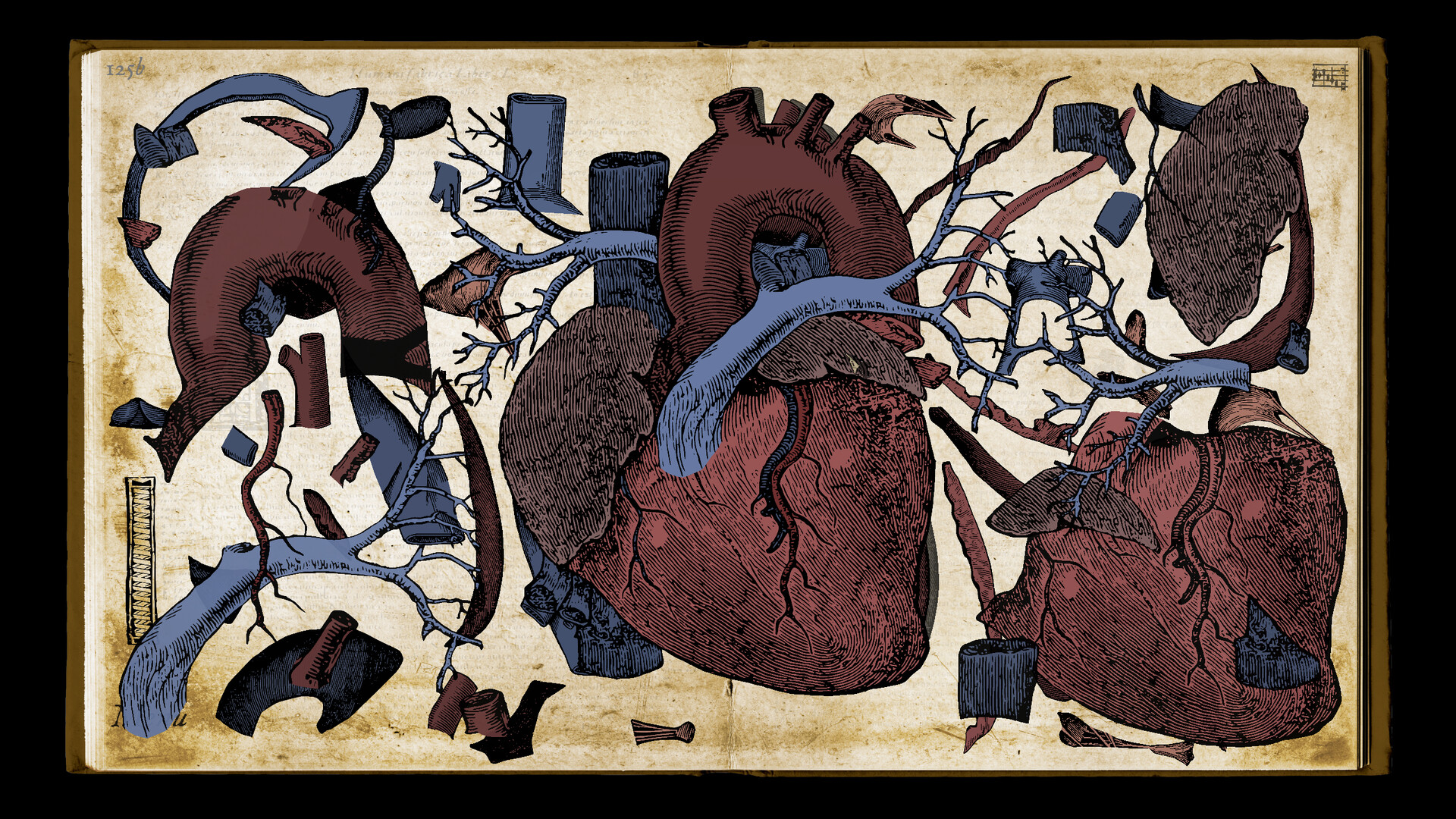 Wound Man screenshot #4