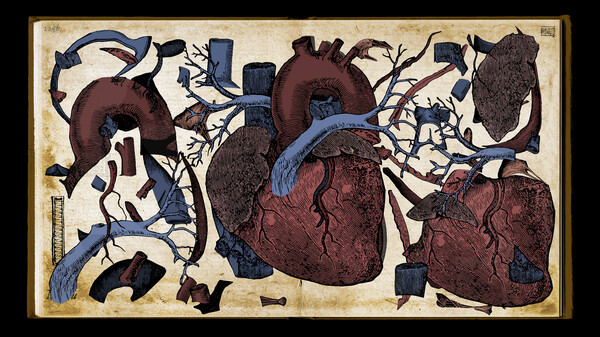 Screenshot z Wound Man
