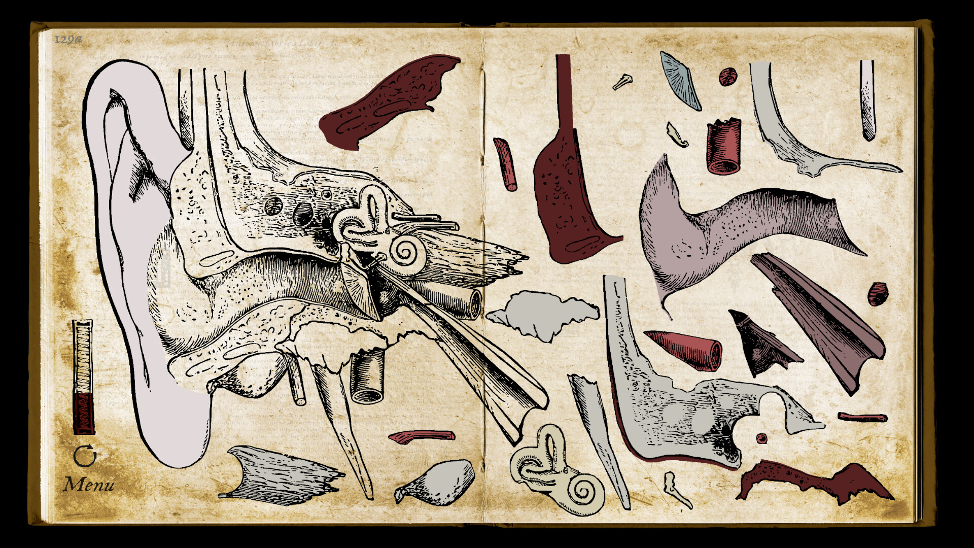 Wound Man screenshot #9