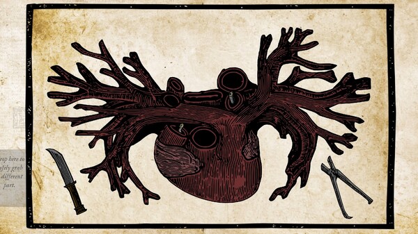 Screenshot 21