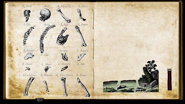 Screenshot 25