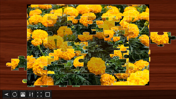 Jigsaw Puzzle World - Plants 2