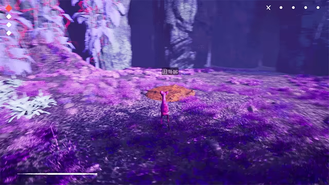 Matinta video 2