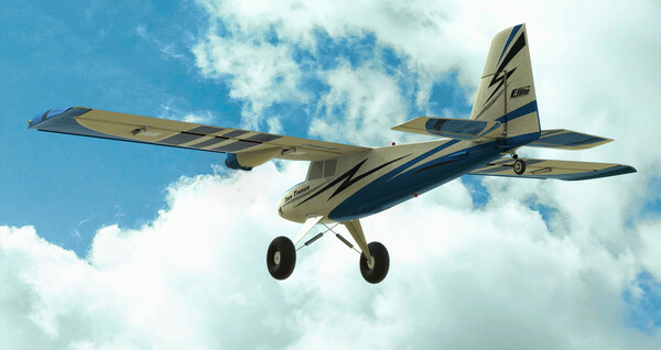 RealFlight Evolution - E-flite Twin Timber 1.6m