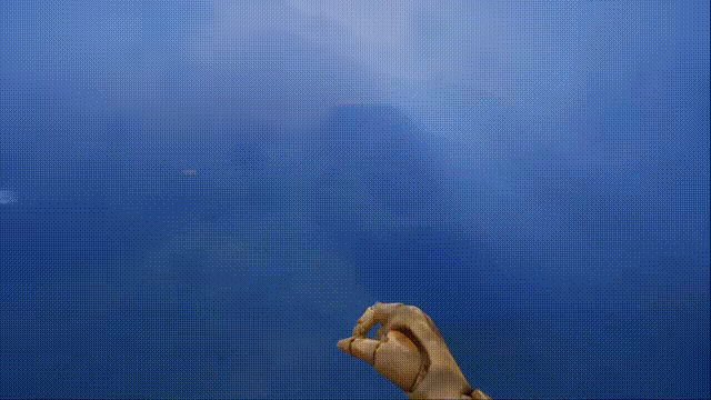 Catch The Fox video 5