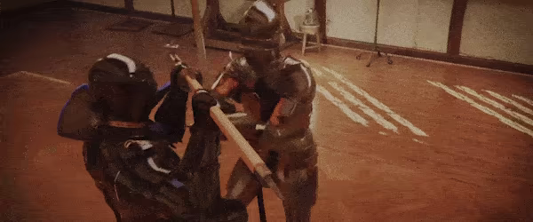 Half Sword video 7