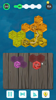 Hexa Puzzle Saga.