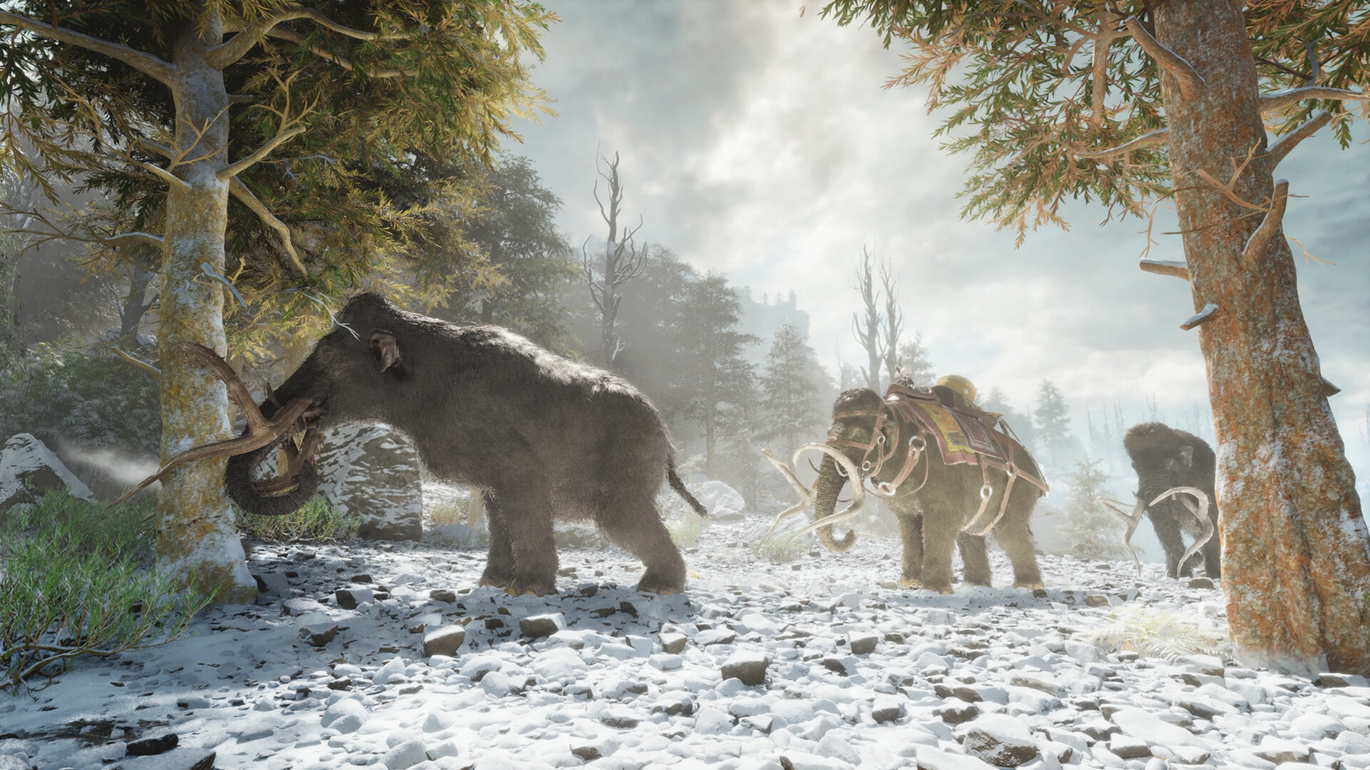 ARK: Survival Ascended screenshot #12