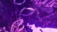 Screenshot #33