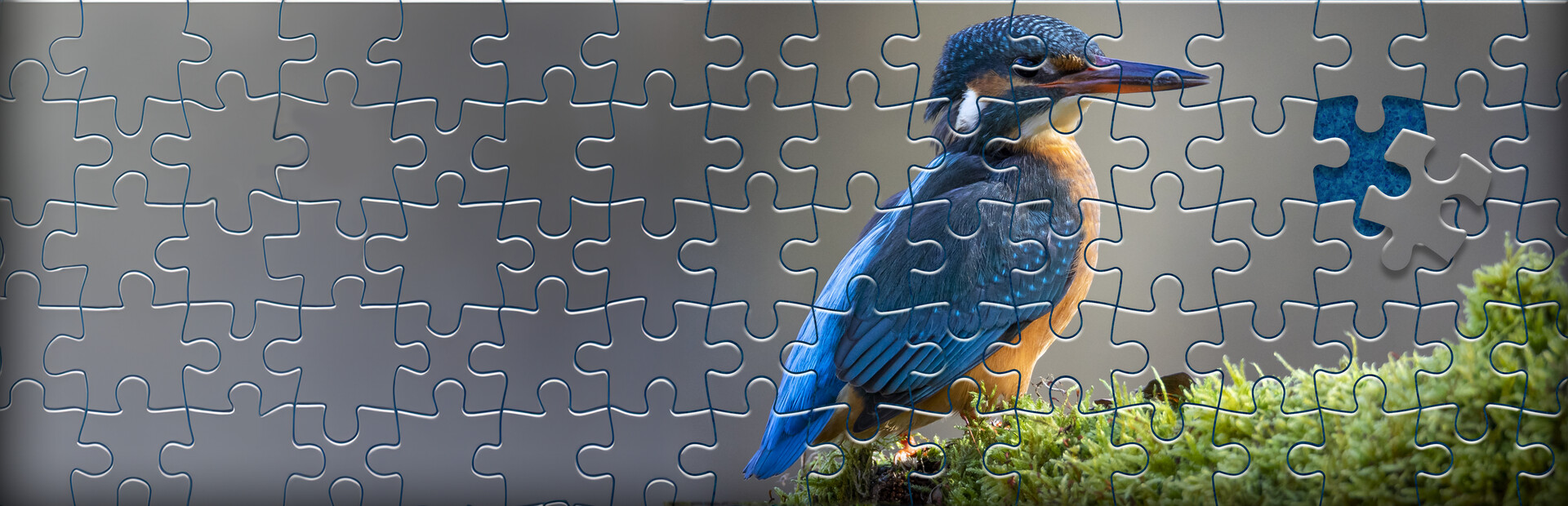 Puzzle Go