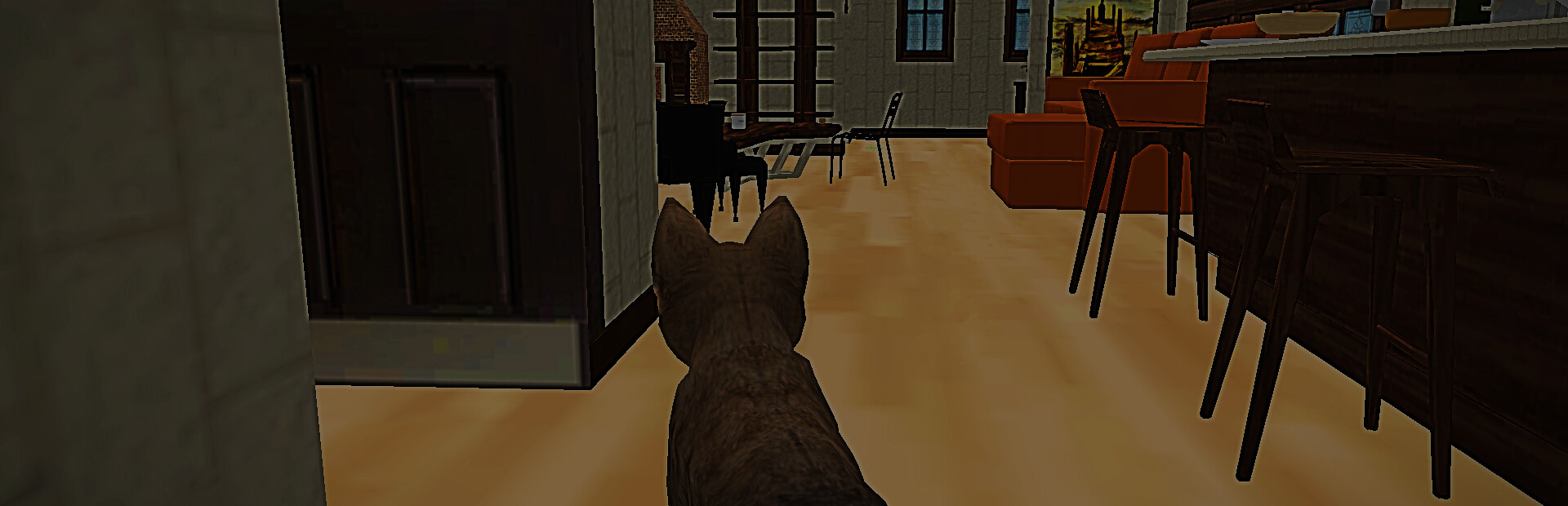 City of Cats