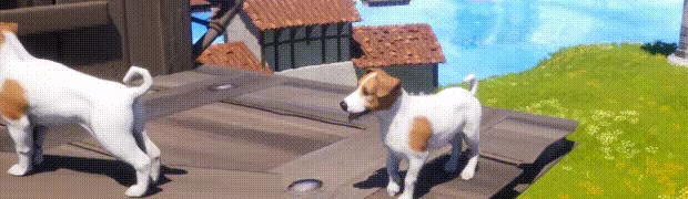 Dogs Club video 1
