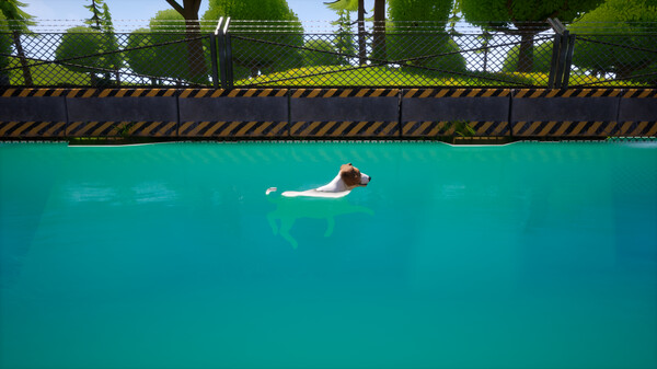 Dogs Club screenshot 5