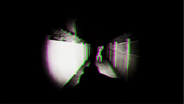 VAGUE video 1