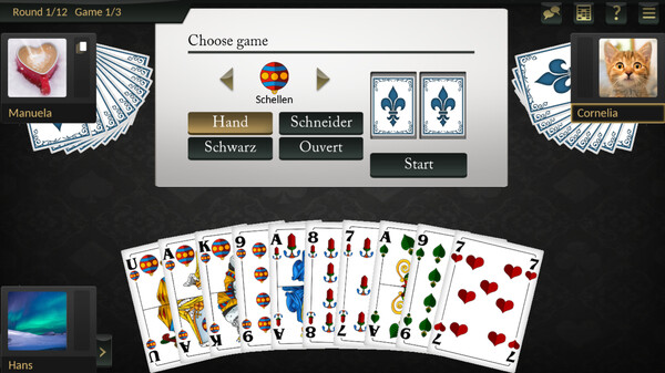 Absolute Skat for Windows 11 screenshot 2