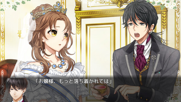 Hikari no Hime:A Magic Fiction.