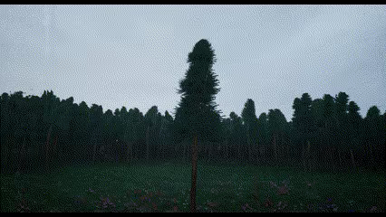 You Are Tre video 1