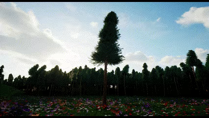 You Are Tre video 2