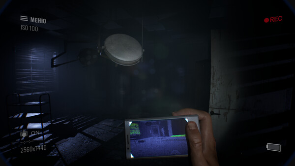 Screenshot media