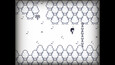 Screenshot #7
