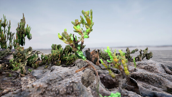 Liminal Lands screenshot 5