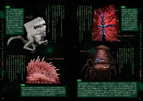 QUESTER コンセプトガイドブック・初版