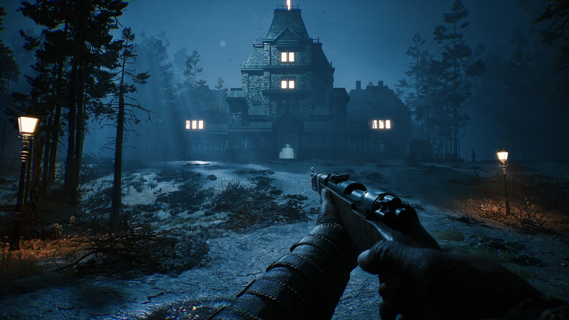 The Bornless screenshot #1