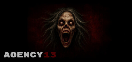 Agency 13
