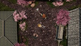 Screenshot #1