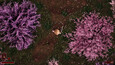 Screenshot #6