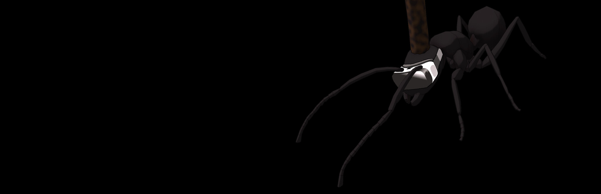 Zombie Ants VR