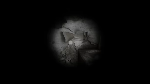 Unknown Memoirs: The Rental video 2