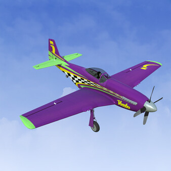 RealFlight Evolution - 2023 Year Content Pass