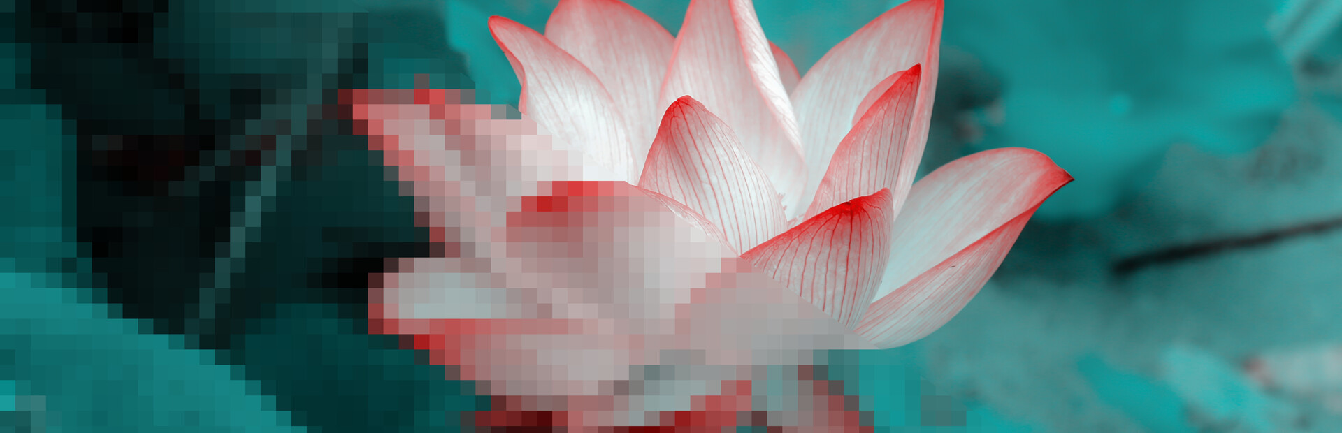 Clear Mosaic