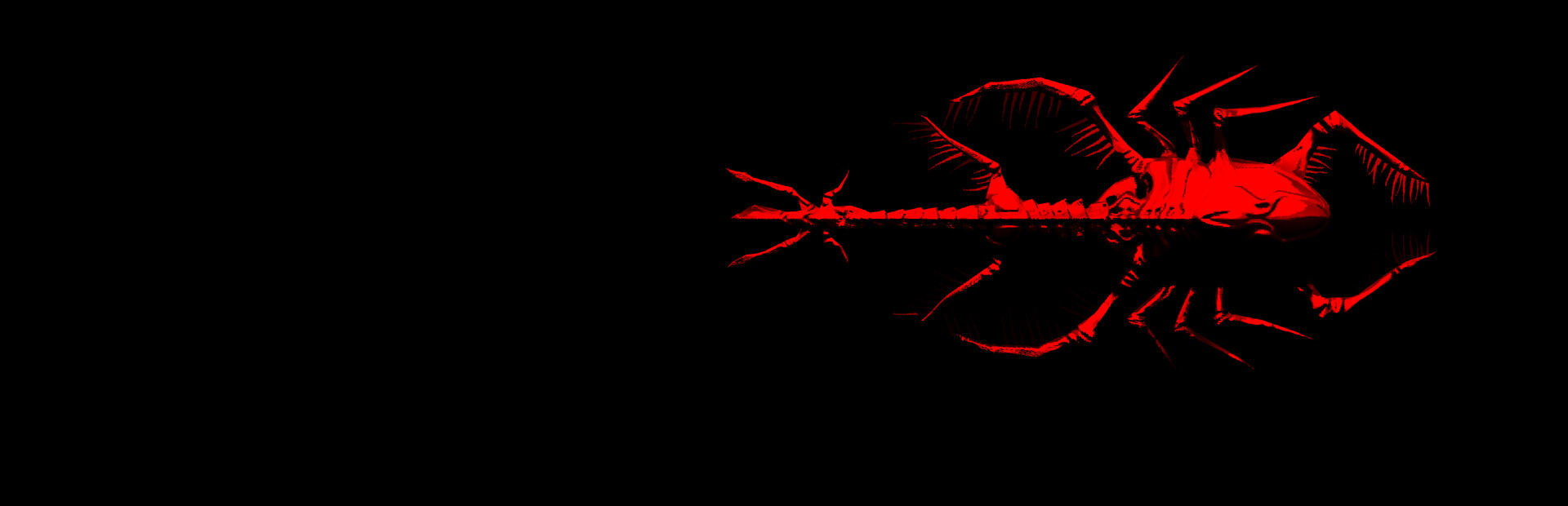 Red Entropy
