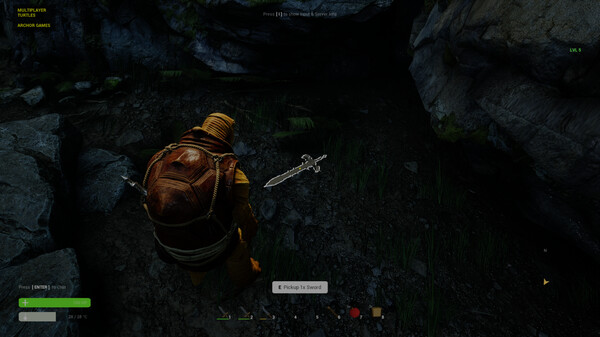 Screenshot z Multiplayer Turtles