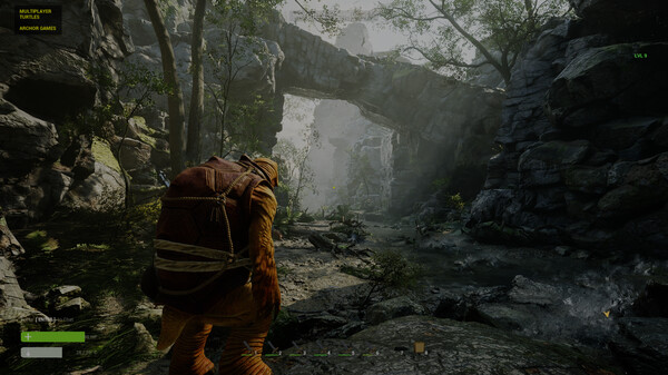 Screenshot z Multiplayer Turtles